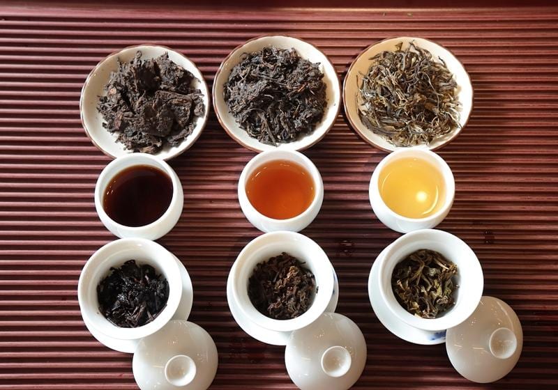由左至右为熟到生的不同熟度普洱茶,茶汤颜色各异,深浅之间饶富趣味.
