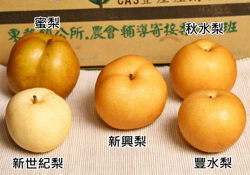 丰水梨,新兴梨,三星上将梨?台湾常见梨子有这些